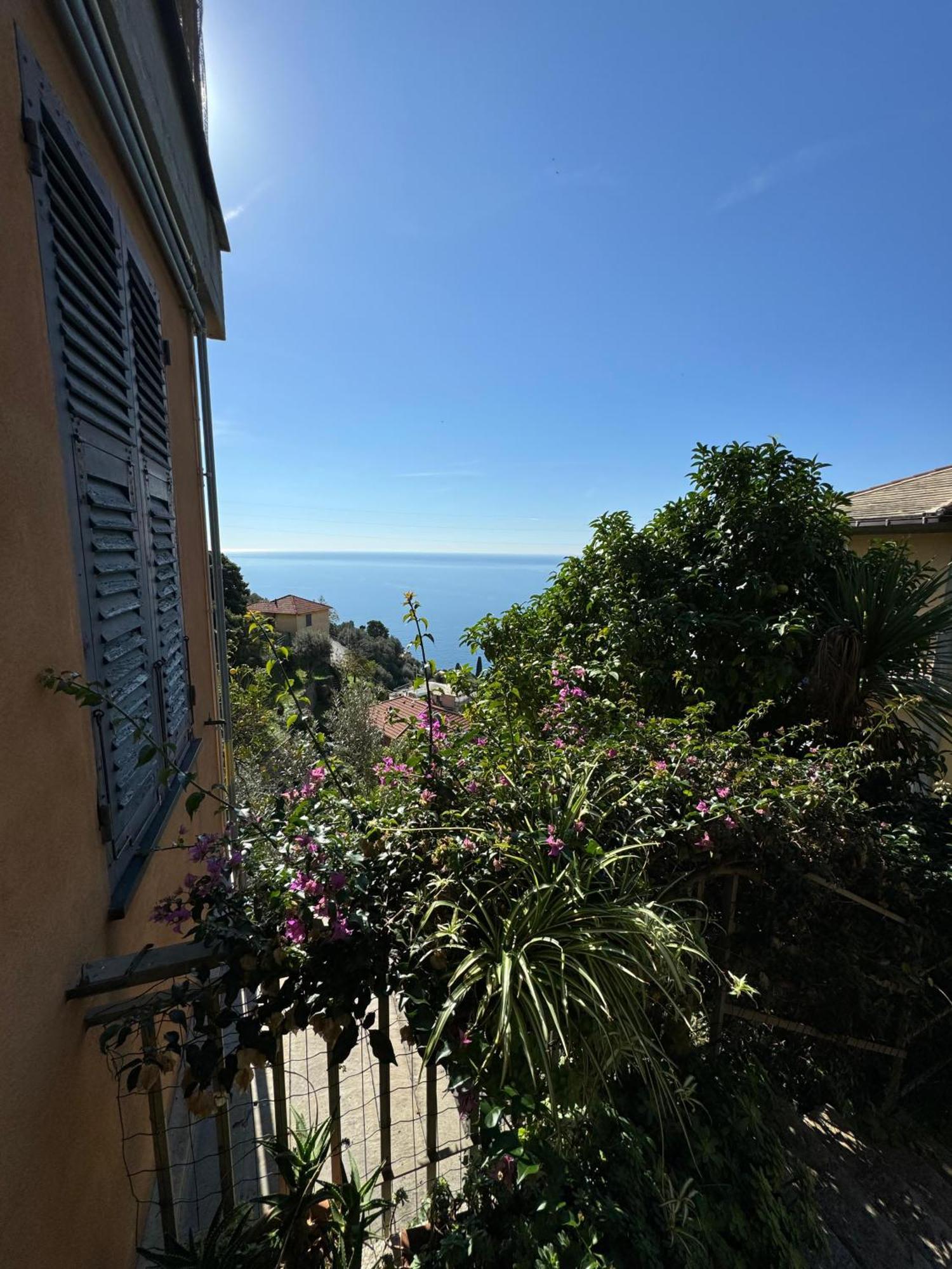 Willa Giardino Dei Limoni Pieve Ligure Zewnętrze zdjęcie